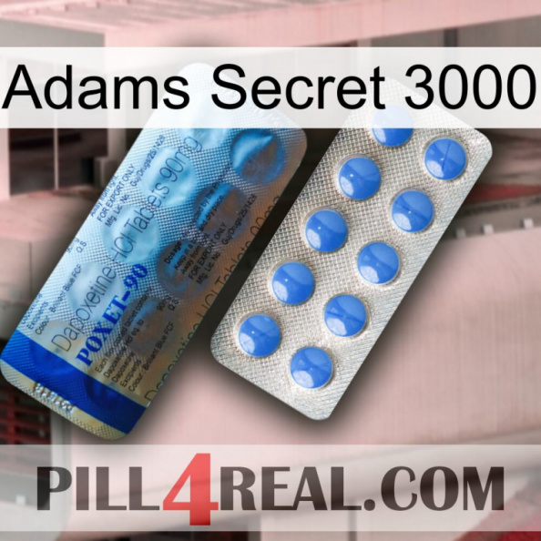 Adams Secret 3000 40.jpg